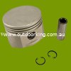 (image for) Briggs and Stratton Cylinder Head, Crankcase, Piston Rings & Piston Assemblies