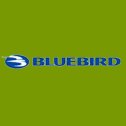 (image for) Blue Bird