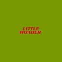(image for) Little Wonder