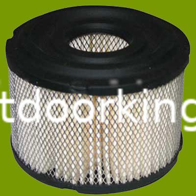 (image for) Briggs & Stratton Air Filter 390492, JM685
