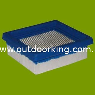 (image for) Tecumseh Air Filter 36046, AIR5829