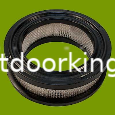 (image for) Tecumseh Air Filter 30804, 100-024