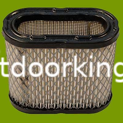 (image for) Onan and Toro Air Filter 140-3111, 100-061