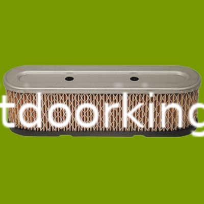 (image for) Tecumseh Air Filter 35403, 100-909