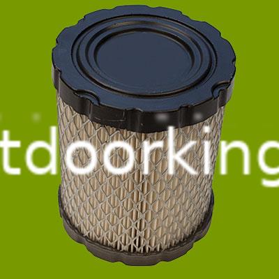 (image for) Briggs & Stratton Air Filter 798897, AIR7885