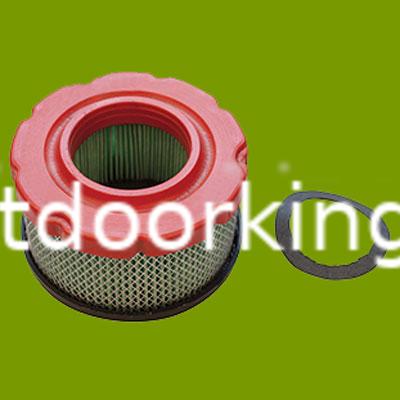 (image for) Briggs & Stratton Air Filter 797819, 102-190