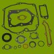 (image for) Briggs & Stratton Gasket Set 493263, 496117, 140-111