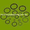 (image for) 'O' Ring Kit 415-299