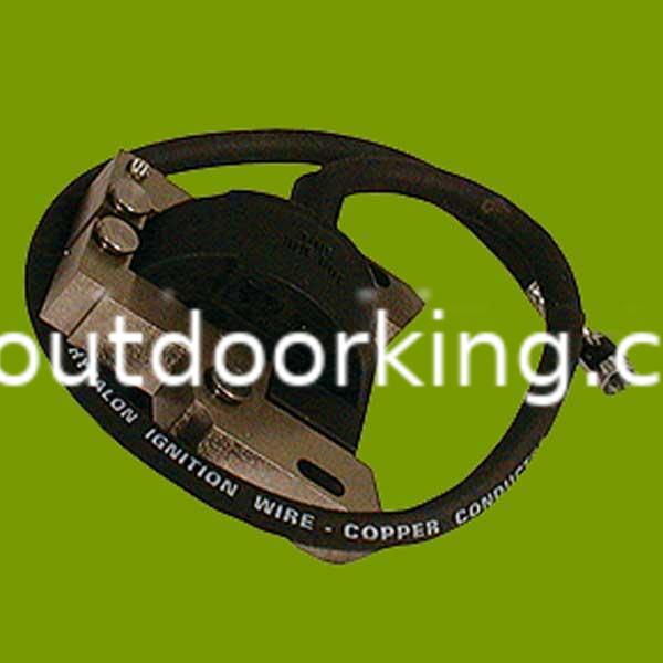 (image for) Briggs & Stratton Genuine Coil 492341, 495859, 491312, 490586, 690248, 715231, 591459
