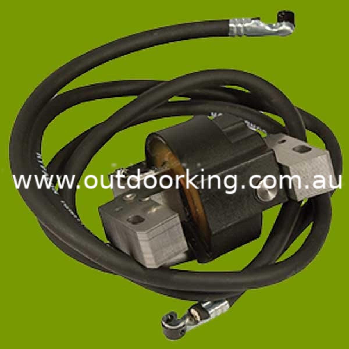 (image for) Briggs & Stratton Solid State Module 394891, 590781, ECP2860