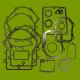 (image for) Briggs & Stratton Gasket Set 495868, 480-008