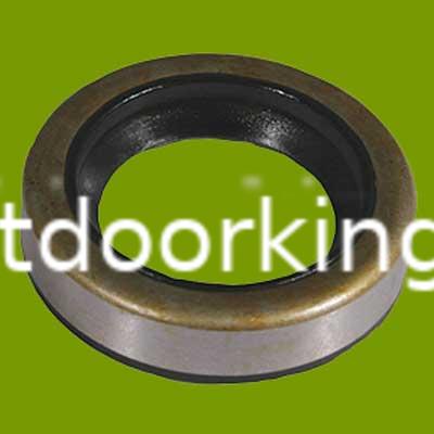 (image for) Briggs & Stratton Oil Seal 391483S, 495-002