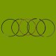(image for) Briggs & Stratton Piston Ring Set +.010 391781, 394960, 499997, 500-090
