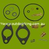 (image for) Tecumseh Carburettor Repair Kit 29155, 29157, 30359, 31390, 520-304