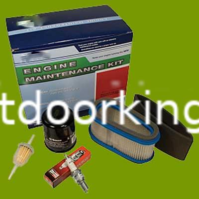 (image for) Engine Maintenance Kit 785-664