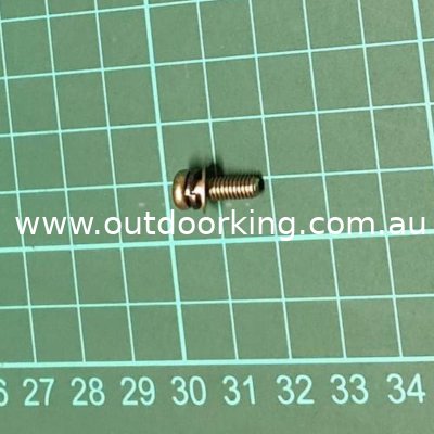 (image for) Ryobi Genuine RGH600, RWH900 Screw 026030412