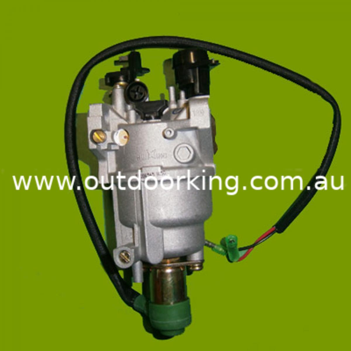 Homelite Genuine Carburettor 099980070004