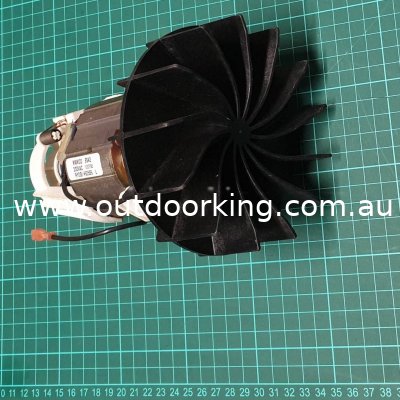 (image for) Ryobi Genuine Electric Motor 230V 160373