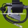 (image for) Robin Genuine Ignition COIL EY15 TIC BM3505 2267943031, 2267943041, 2267943061