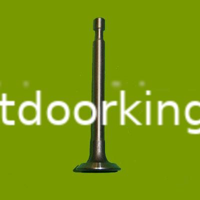 (image for) Robin EY20 Exhaust Valve 2273350113