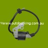 (image for) Robin Genuine IGNITION COIL EY20D TIC BM371 2277943051