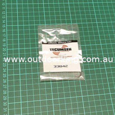(image for) Tecumseh Starter Retainer Ring 33842