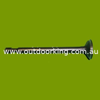 (image for) Talon Genuine Exhaust Valve 522 25 72-01, 522257201