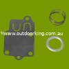 (image for) Briggs & Stratton Diaphragm Kit 5021, 5021B, 5021D, 5021H, 5021K, 530-228
