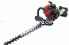 (image for) Petrol Hedge Cutter 552436