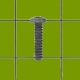 (image for) BRIGGS GENUINE SCREW 594115