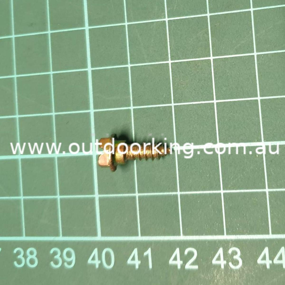 (image for) Briggs & Stratton Genuine Screw 691002