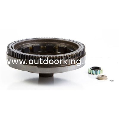 (image for) Briggs & Stratton Genuine Flywheel 690222, 399917, 492326, 790894, 693557