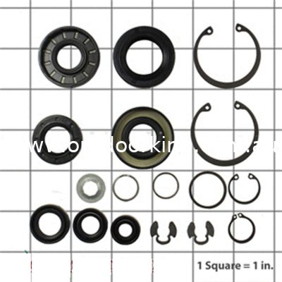 (image for) Hydro-Gear Genuine Seal Kit 70853HG