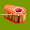 (image for) Briggs & Stratton Air Filter 792038, AIR7513