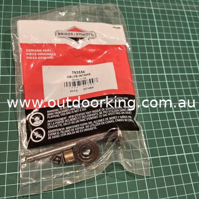 (image for) Briggs & Stratton Genuine Valve-Intake 793556
