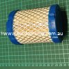 (image for) Briggs & Stratton Genuine Filter-Air Cleaner Cartridge 591583, 796032