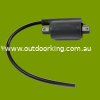 (image for) Briggs & Stratton Genuine Ignition Coil 820037