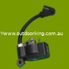 (image for) Homelite Genuine Ignition 850108001