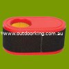 (image for) MTD Genuine Air Filter Assembly 751-12260, 951-12260, 937-05065, 937-05065A