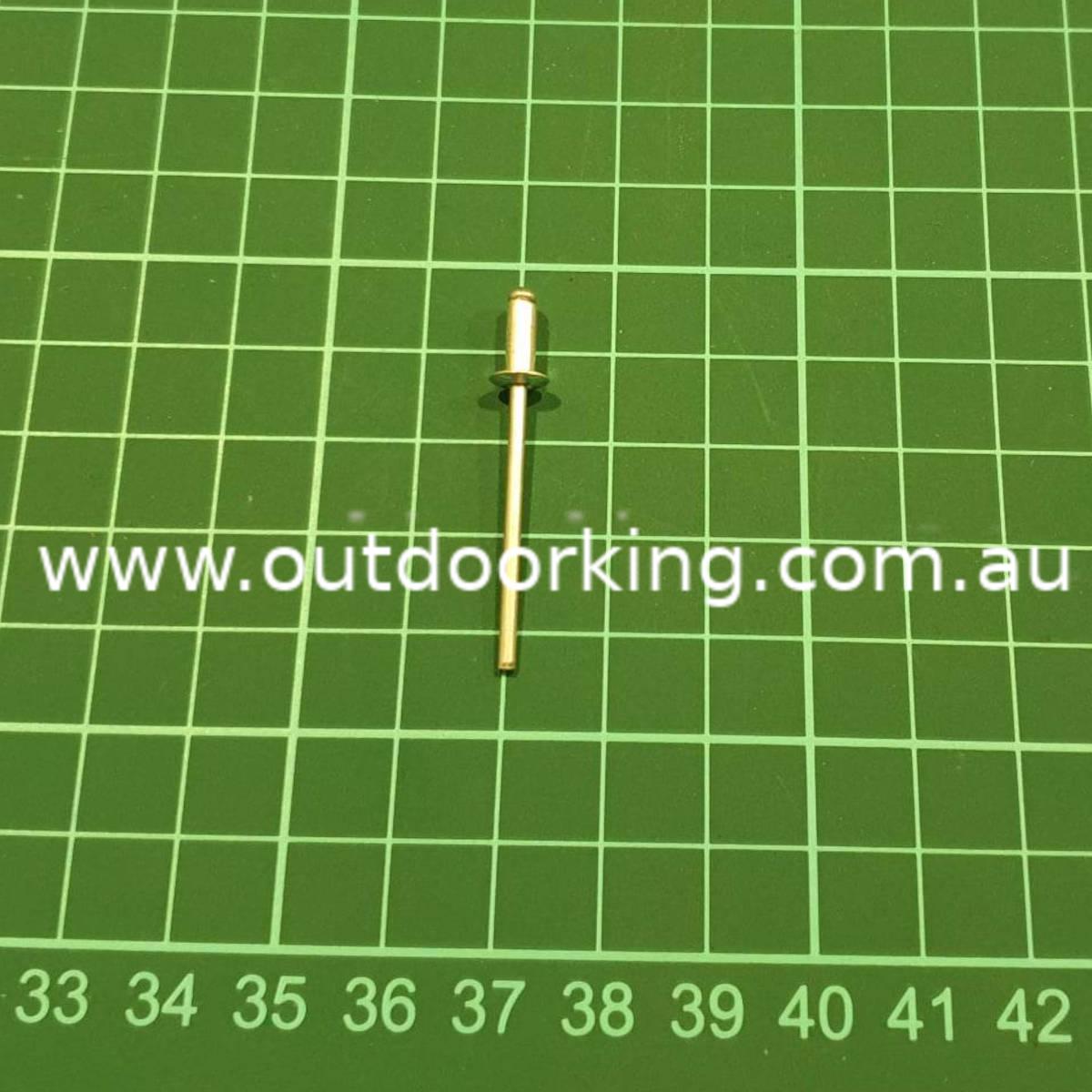 (image for) Rover Genuine Rivet Blind A2901195
