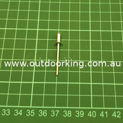 (image for) Rover Genuine Rivet Blind A2901195