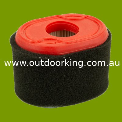 (image for) Briggs & Stratton Air Filter 796970, AIR8522