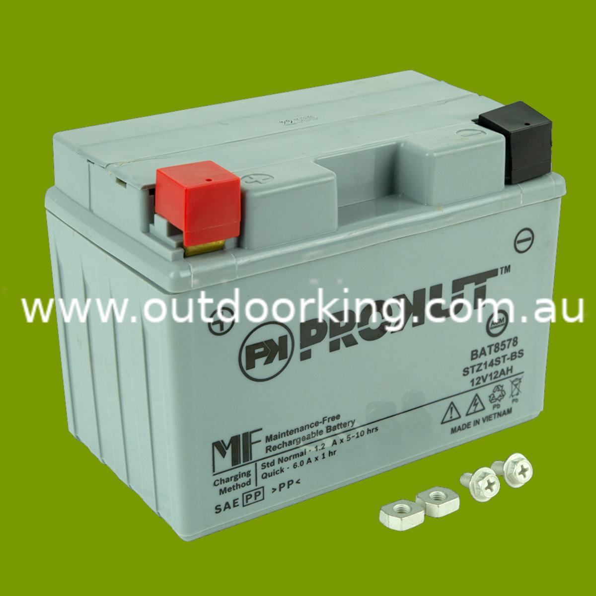 (image for) TRACTOR / ZTR BATTERY MAINTENANCE FREE 230CCA 11AH BAT8578