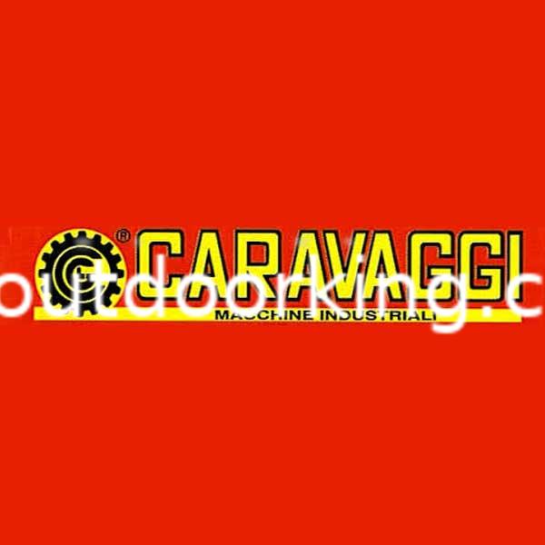 (image for) Caravaggi 200 Chipper Bearing 540004000