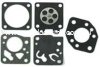 (image for) Tillotson Diaphragm & Gasket Set DG-2HU, CAS460083