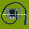 (image for) Kohler CH/V16 Ignition, Coil, Module ECP7891