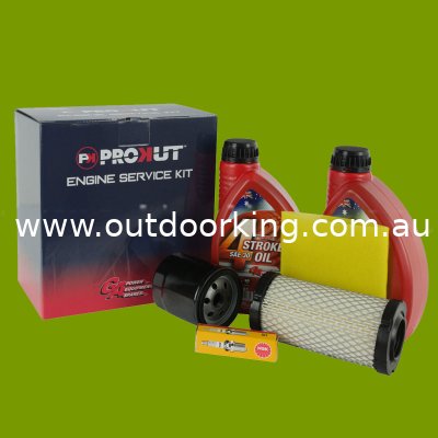 (image for) ENGINE SERVICE KIT B&S PROFESSIONAL SERIES 17.5-19HP ESK8253