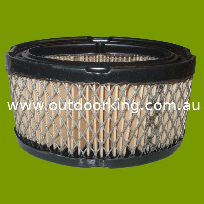 (image for) Tecumseh Air Filter 33268, JM663
