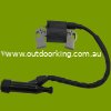 (image for) Kohler Ignition, Coil, Module 1758403-S, 1758403S