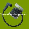 (image for) KOHLER ELECTRONIC IGNITION COIL FOR SPEED ADVANCE CH22-750 SV735-740, 2458436-S, KOH2458436-S